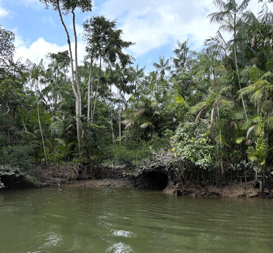 tecnologia-climatica